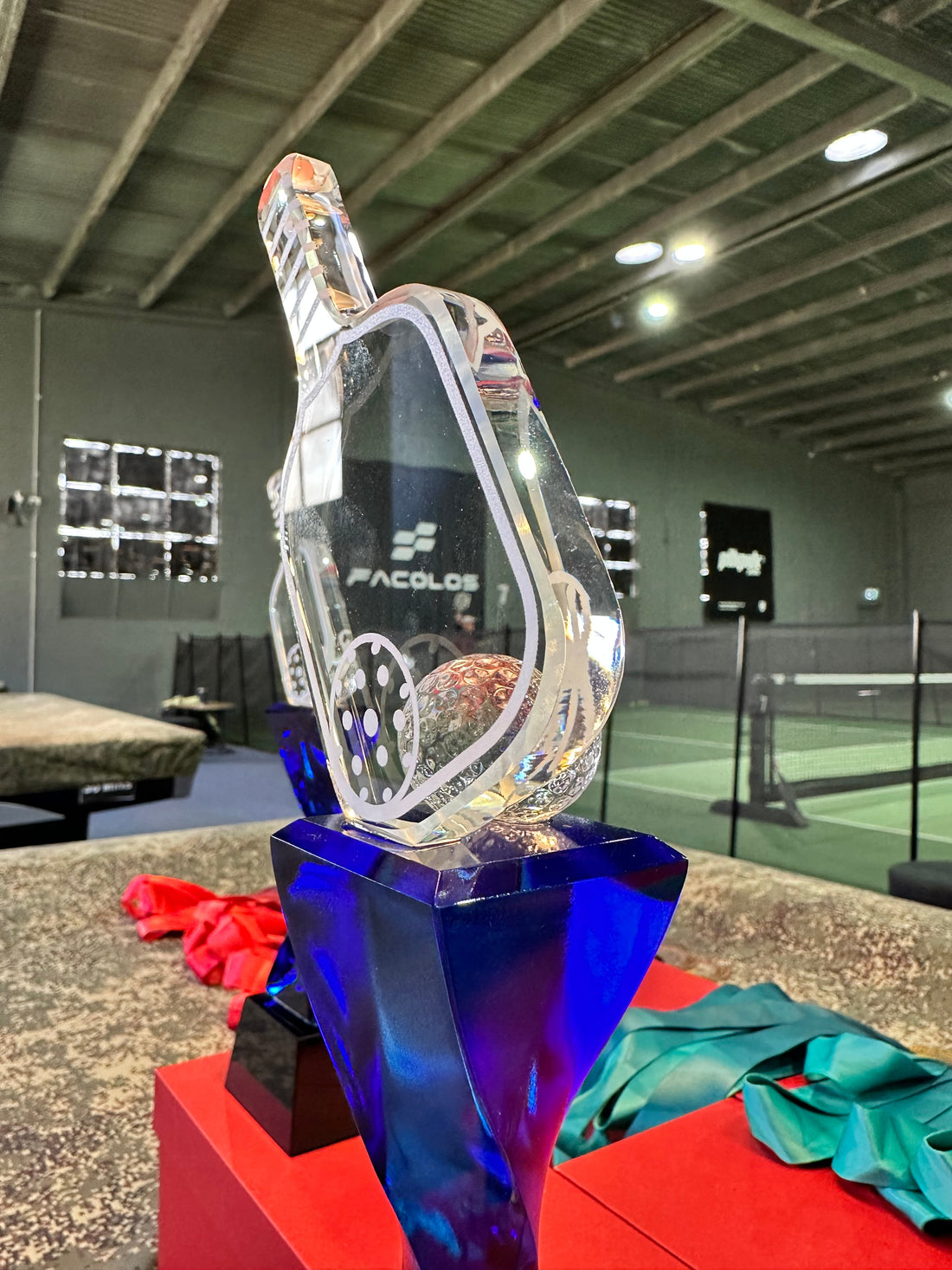Pickleholic Tournament - A great weekend in Clayton
